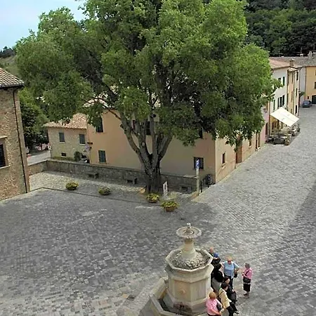 Diffuso 2*